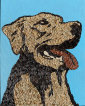 [Tom Rainey Beckett, a Great Dog]